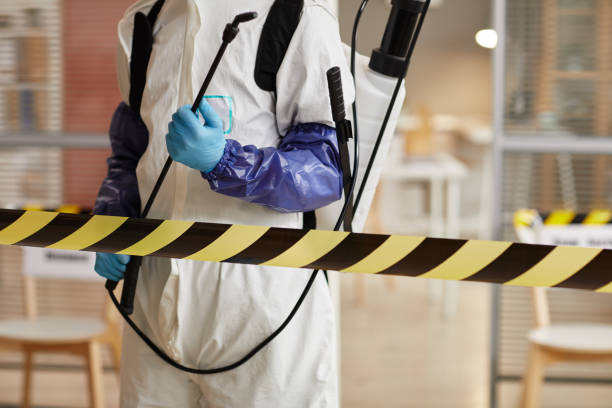 Professional Sewage Cleanup technician working in Shandon, CA
